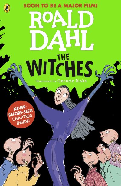 the witches roald dahl book picturespg 11