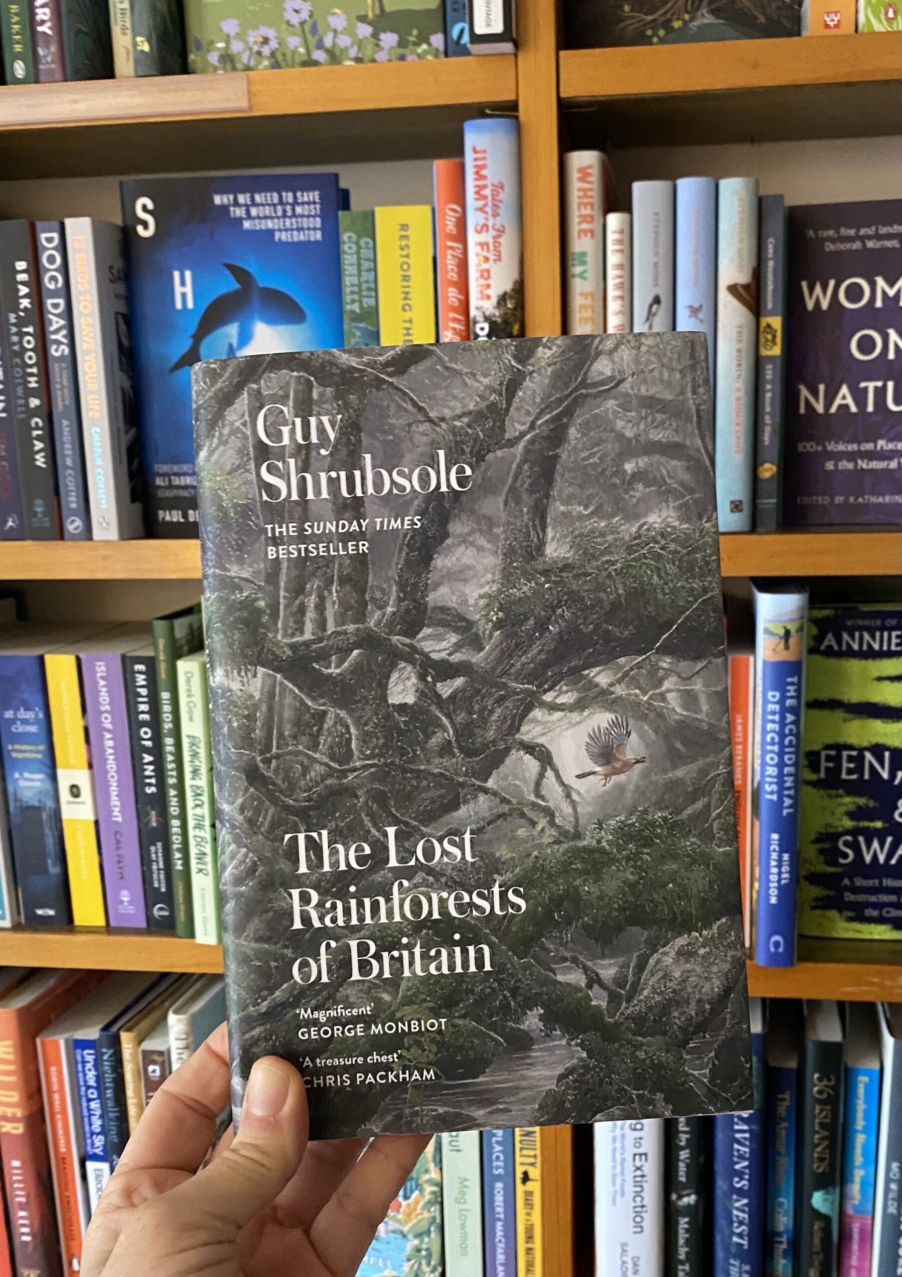 Review: The Lost Rainforests Of Britain – The Bookery